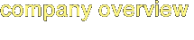 company overview